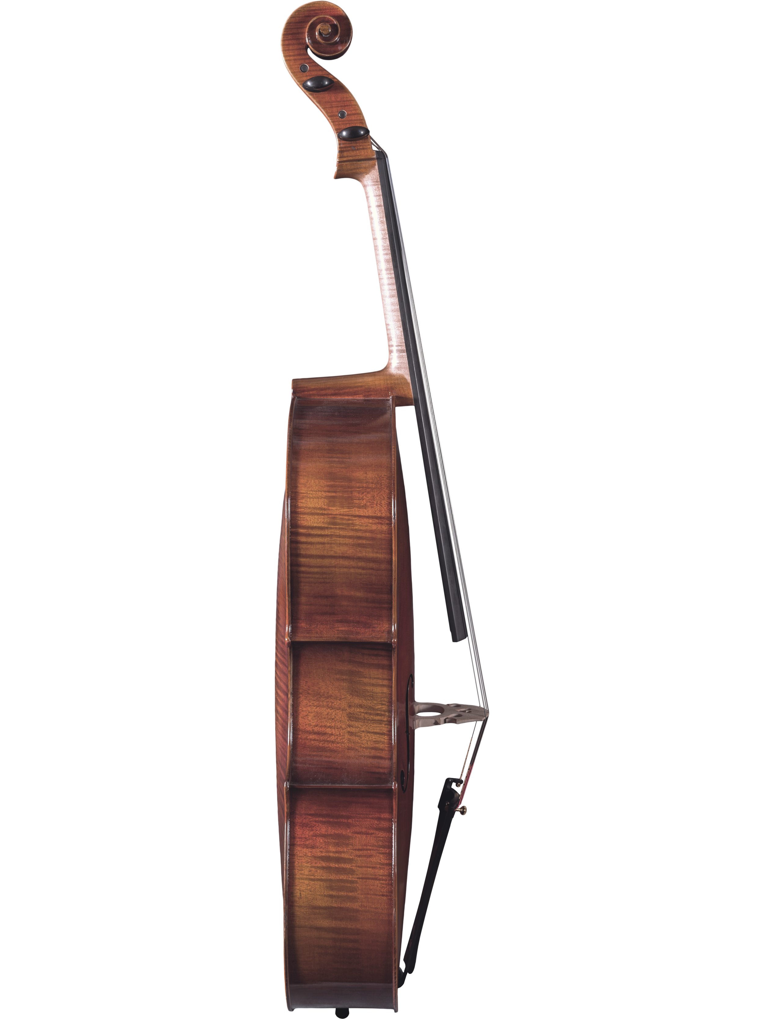 Master Linn Cello — Maple Leaf Strings